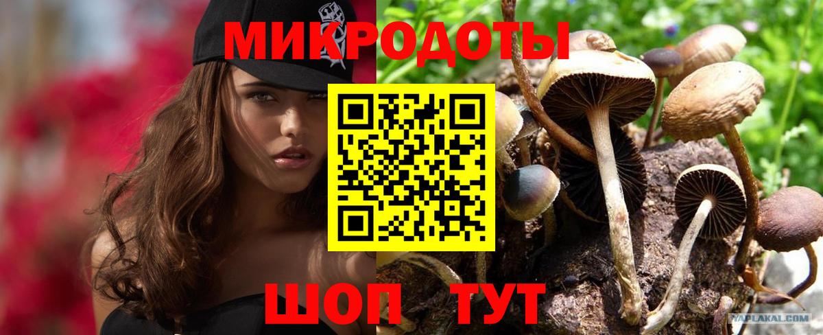 Галлюциногенные грибы MAGIC MUSHROOMS  Галлюциногенные грибы Cubensis  Вход с VPN  Сокол 